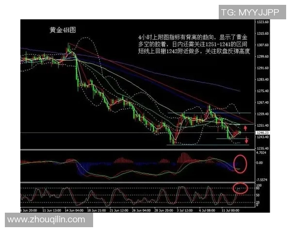 独家解析西安排球队的速度差异与战术影响分析