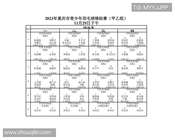 重庆羽毛球队在羽毛球比赛中创下新高经验排名引发热议